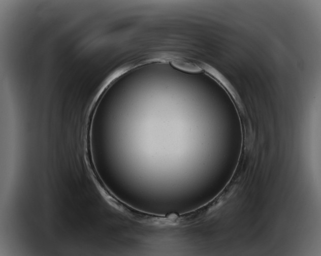 X0000085760861200703231153