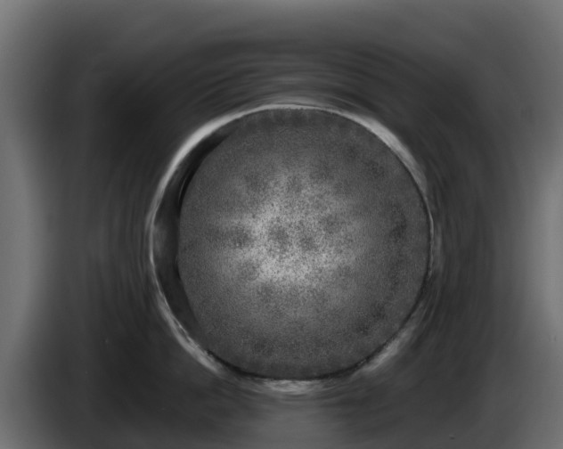 X0000085760862200703231153