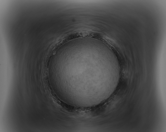 X0000085760865200703231152