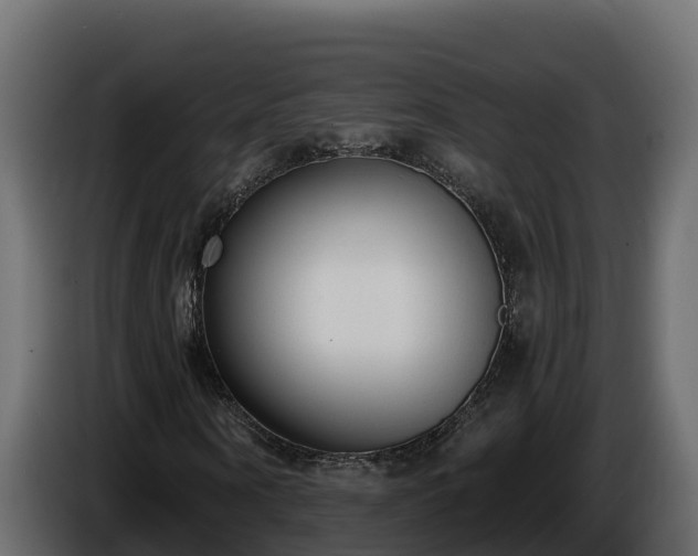 X0000085760866200703231152
