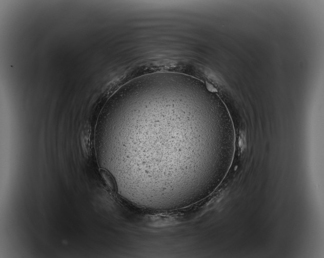 X0000085760867200703231152