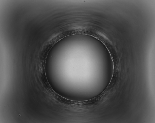 X0000085760869200703231152
