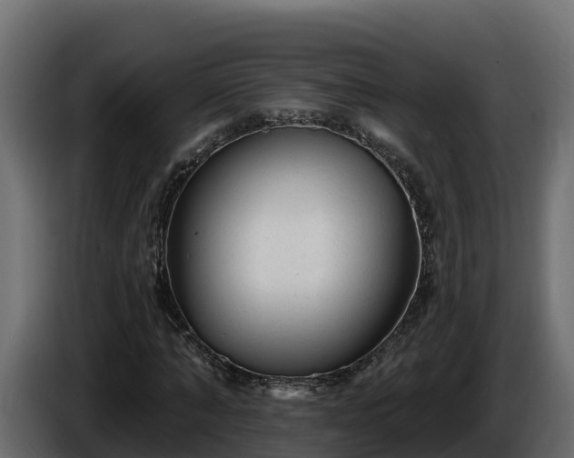 X0000085760870200703231152