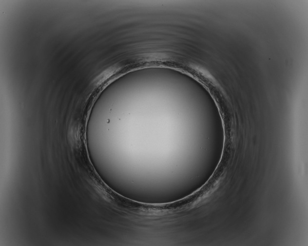 X0000085760873200703231152