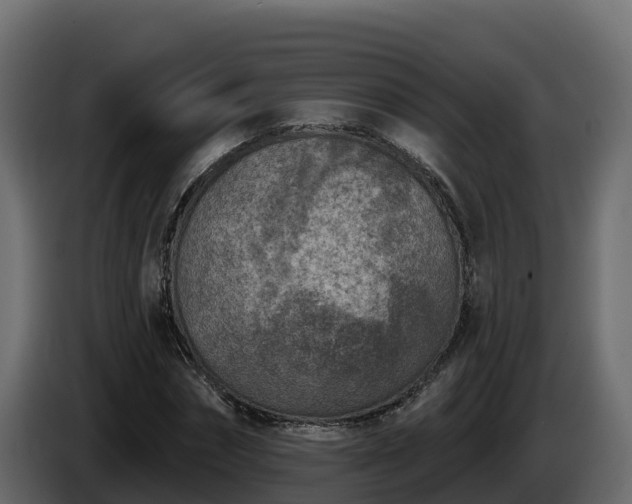X0000085760874200703231152