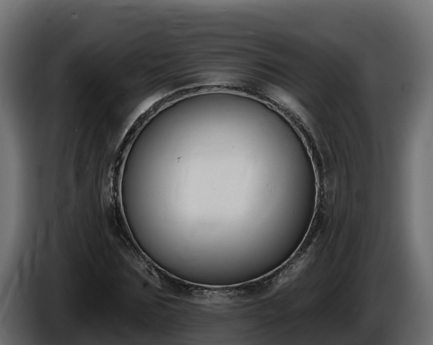 X0000085760875200703231152