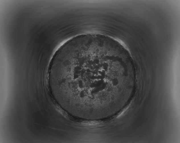 X0000085760879200703231152