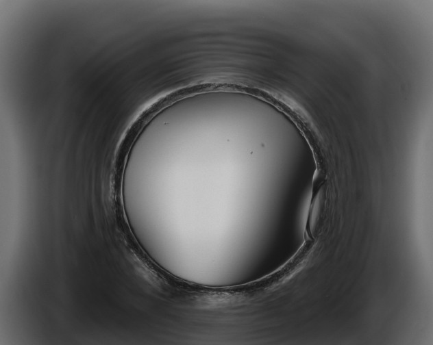 X0000085760880200703231152