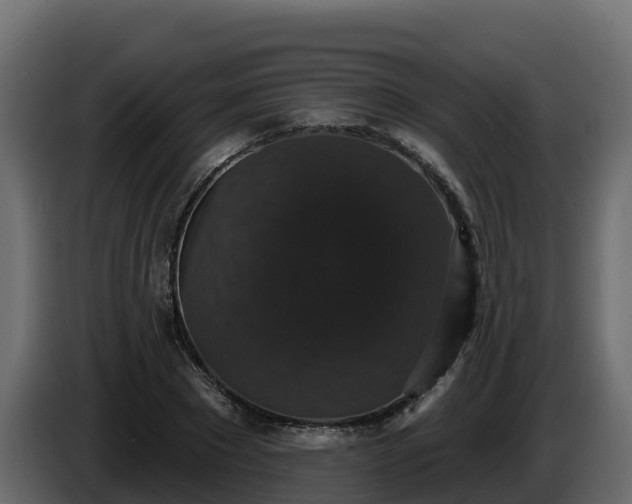 X0000085760881200703231152