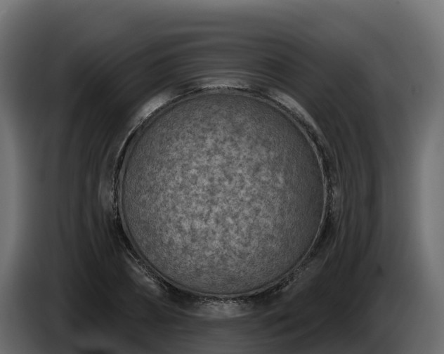 X0000085760882200703231152