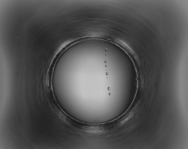 X0000085760883200703231152