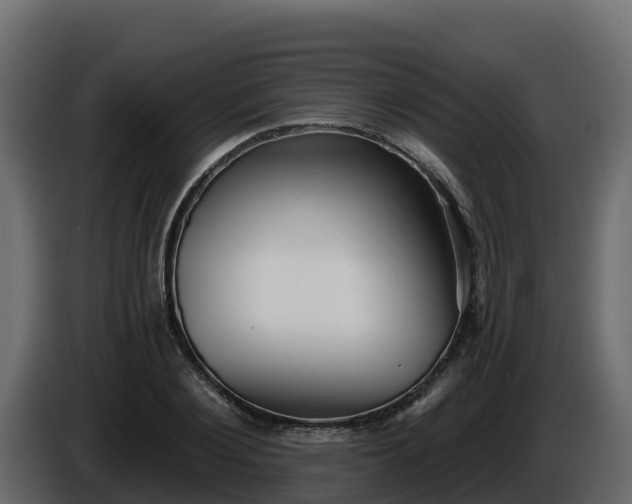 X0000085760884200703231152