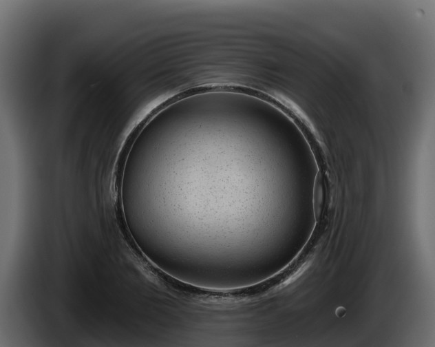 X0000085760885200703231152