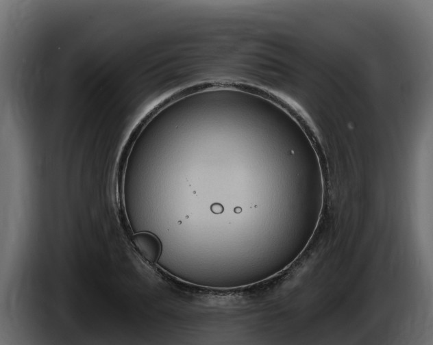 X0000085760887200703231152