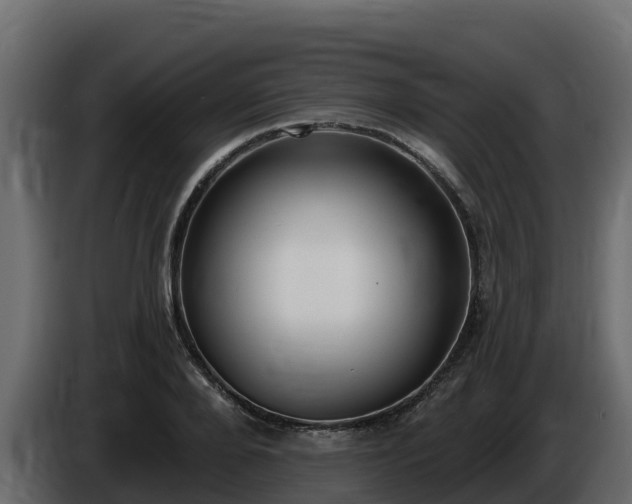 X0000085760888200703231152