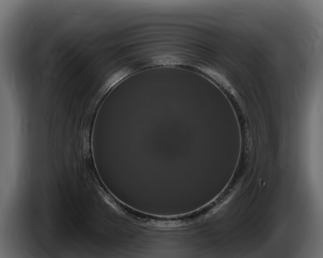 X0000085760889200703231152