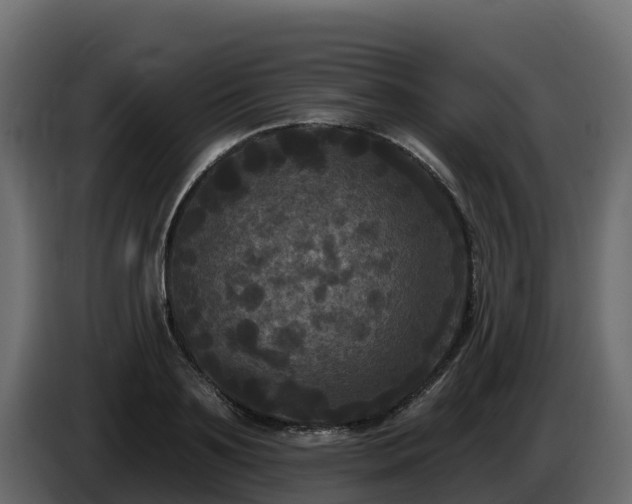 X0000085760891200703231152