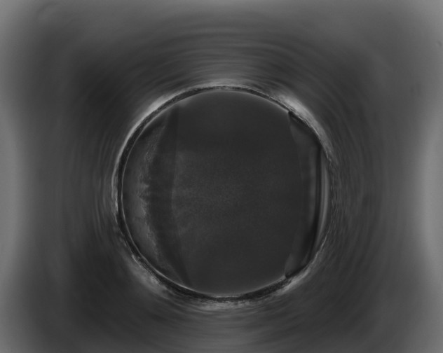 X0000085760892200703231152