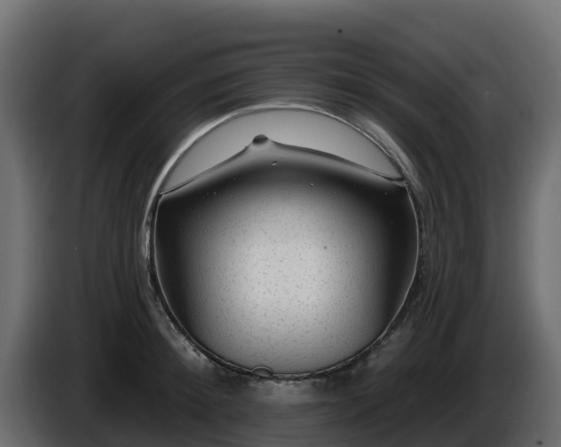 X0000085760900200703231152