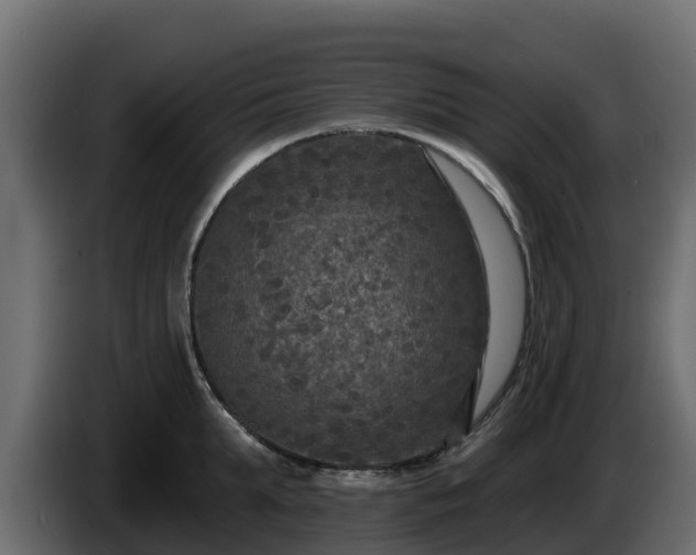 X0000085760903200703231152