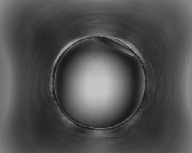 X0000085760904200703231152