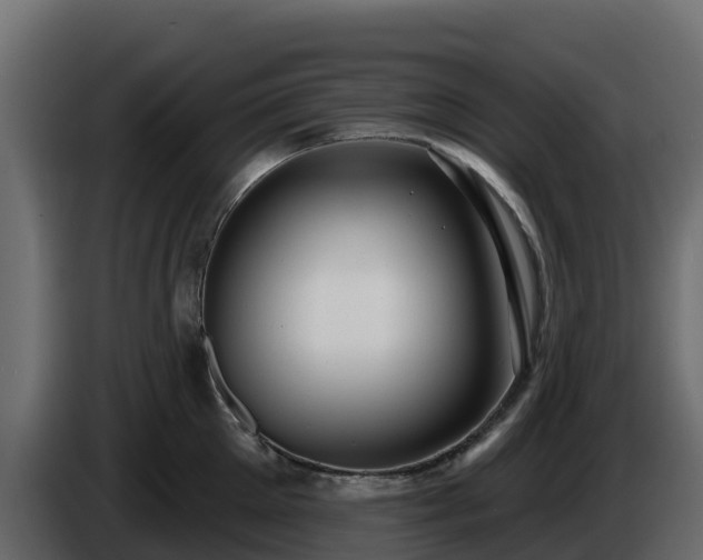 X0000085760905200703231152