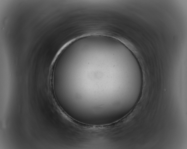 X0000085760912200703231152