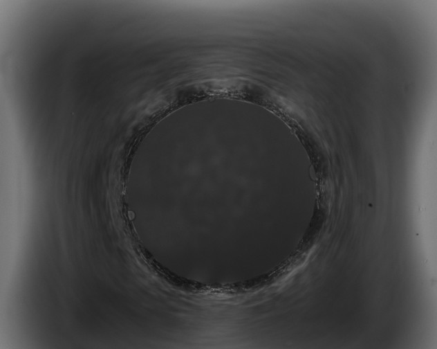 X0000085760913200703231151