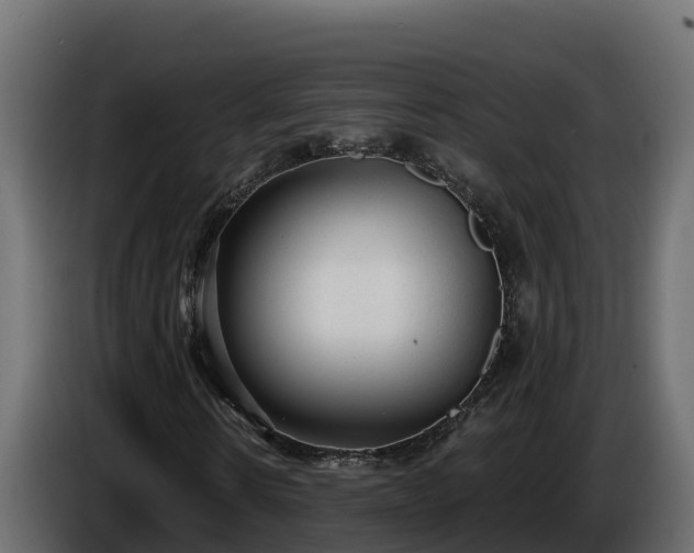 X0000085760914200703231151
