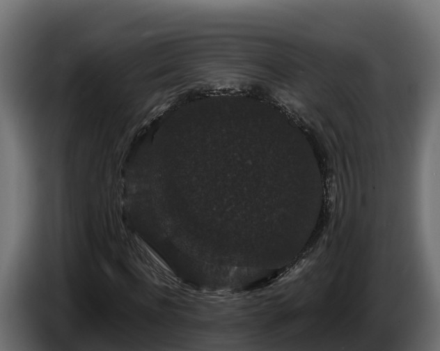 X0000085760916200703231151