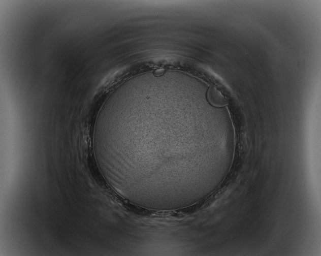 X0000085760918200703231151