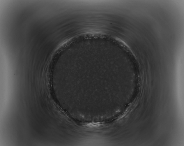 X0000085760919200703231151