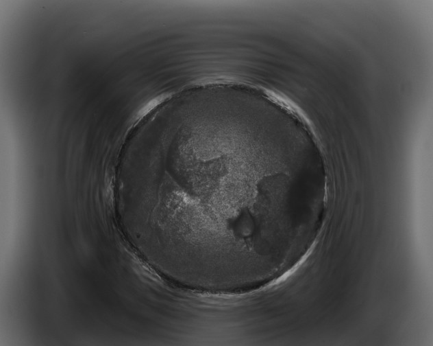 X0000085760921200703231151