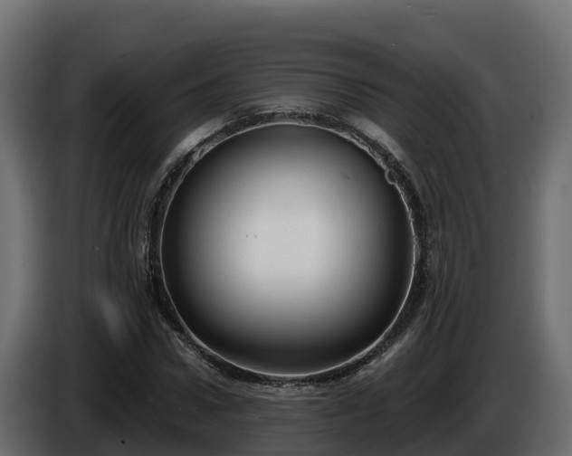 X0000085760922200703231151
