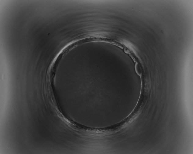 X0000085760923200703231151