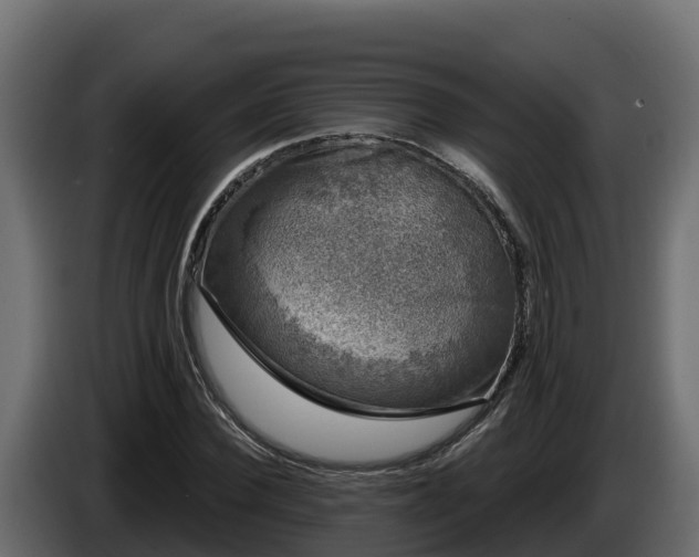 X0000085760924200703231151
