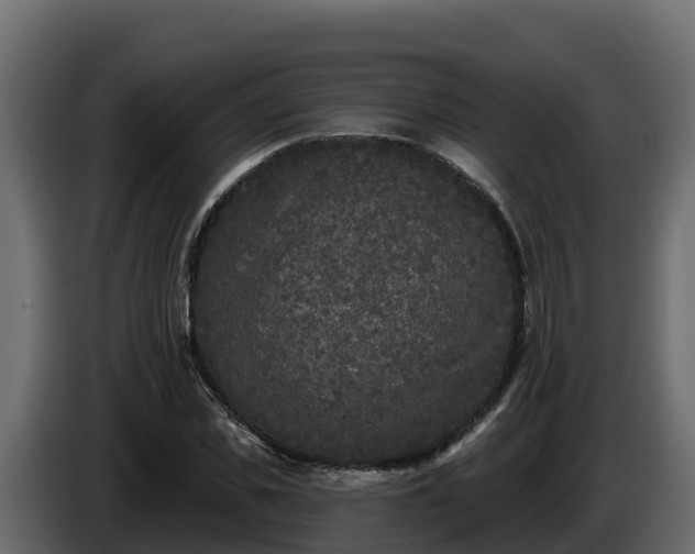 X0000085760925200703231151