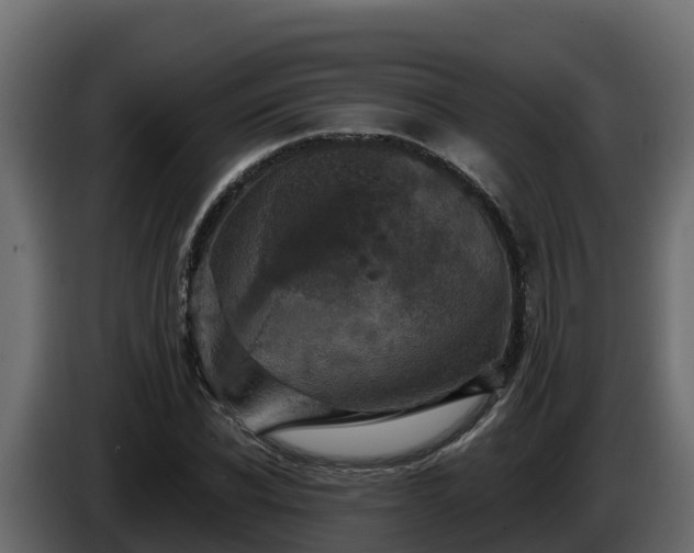 X0000085760926200703231151