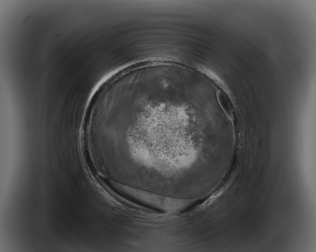 X0000085760928200703231151
