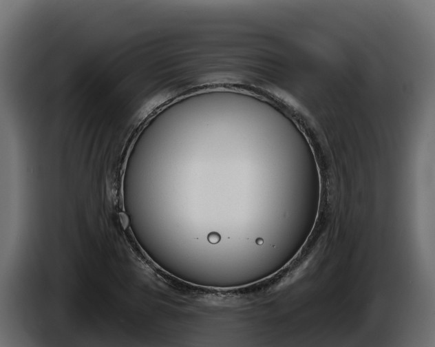 X0000085760929200703231151
