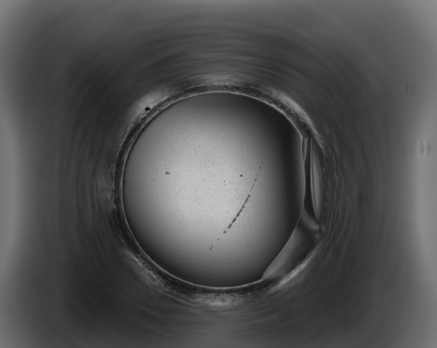 X0000085760930200703231151