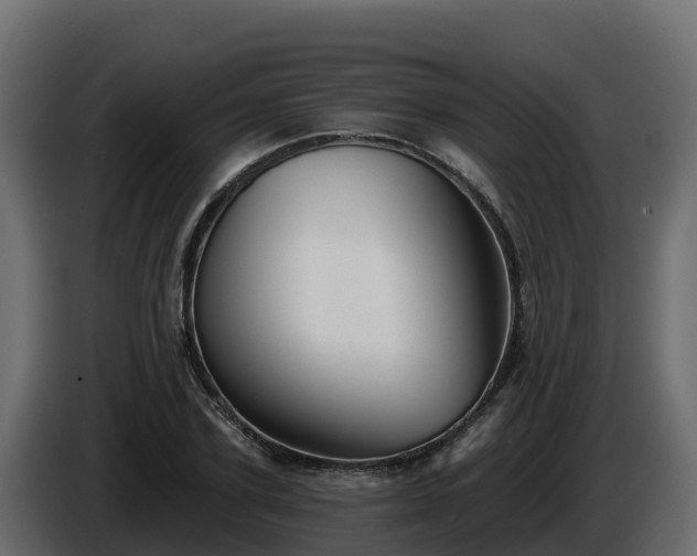 X0000085760931200703231151