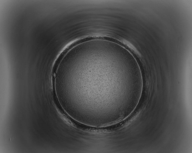 X0000085760934200703231151
