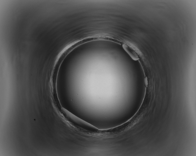 X0000085760936200703231151