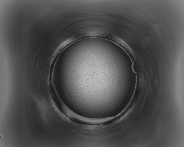 X0000085760938200703231151