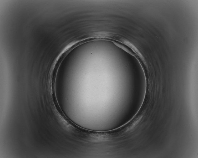 X0000085760939200703231151