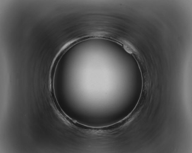 X0000085760940200703231151