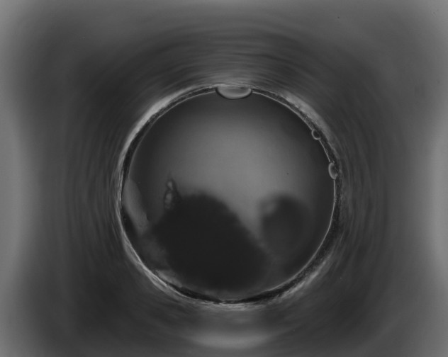 X0000085760941200703231151