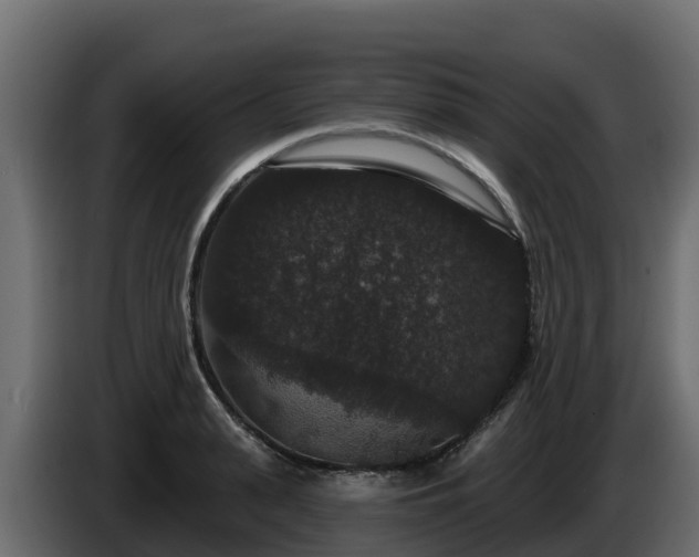 X0000085760943200703231151