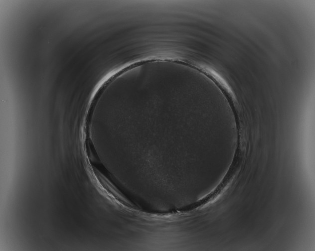 X0000085760944200703231151